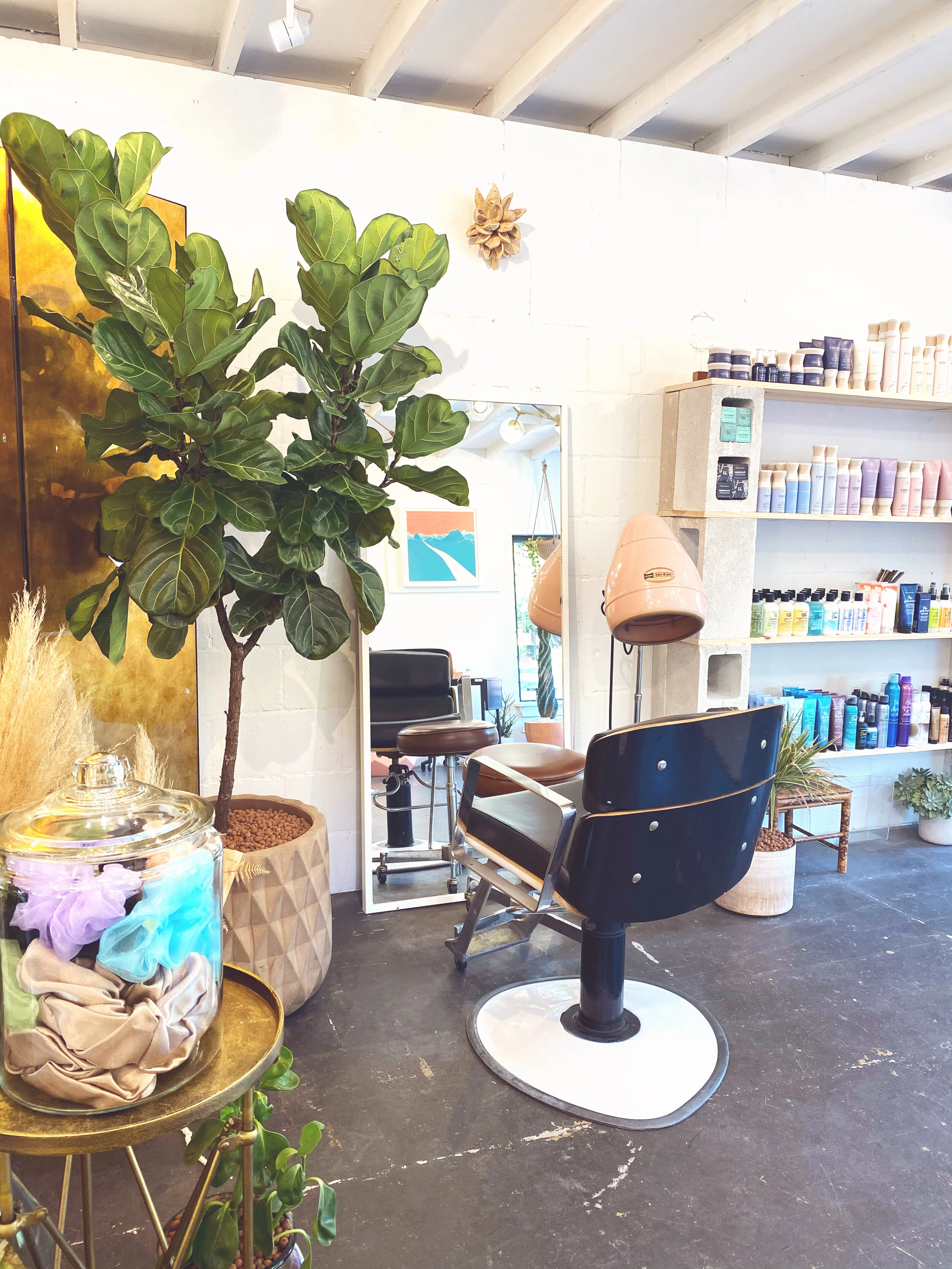 About — Plume Salon ATX