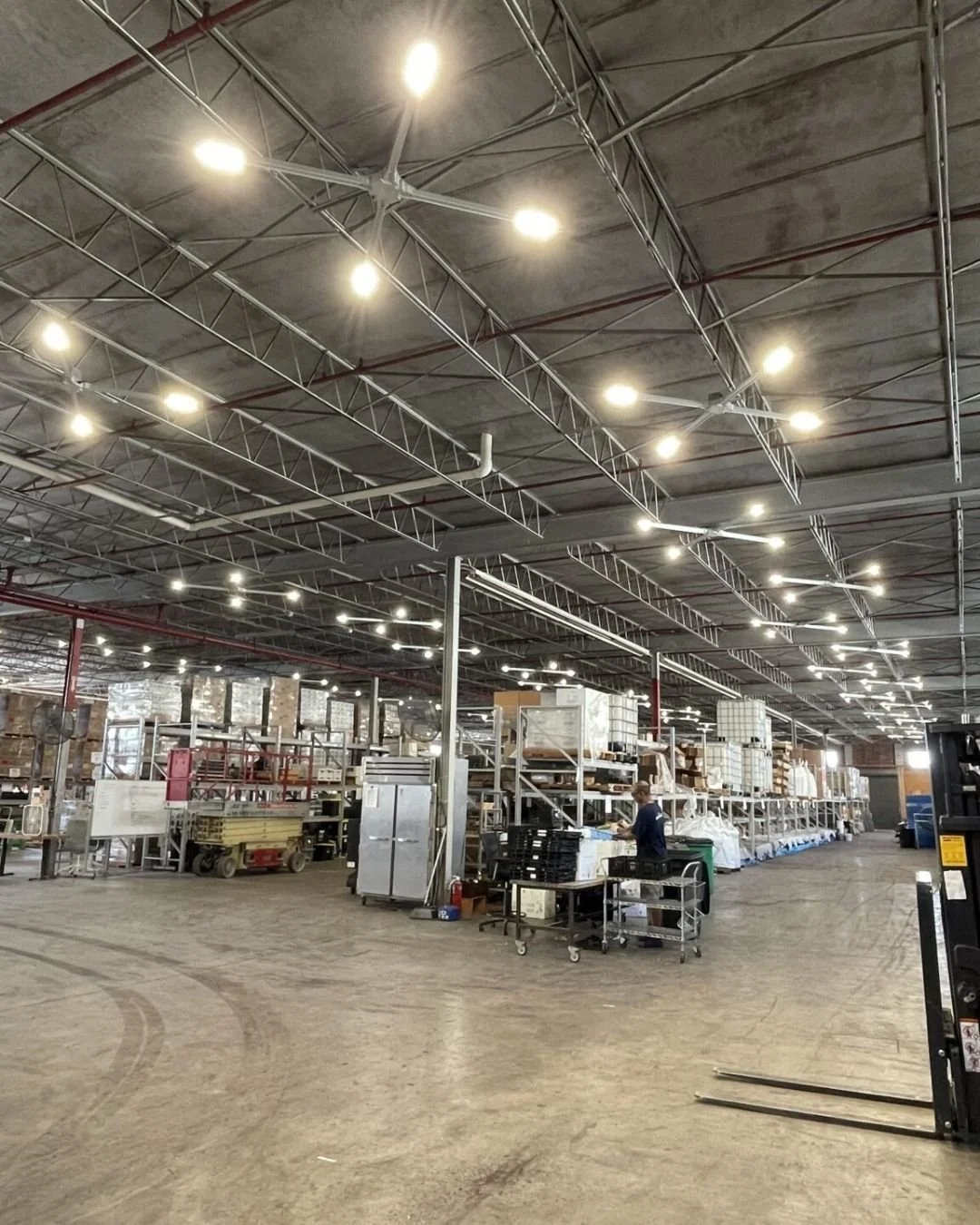 StellarLS 4Roots (5).jpg