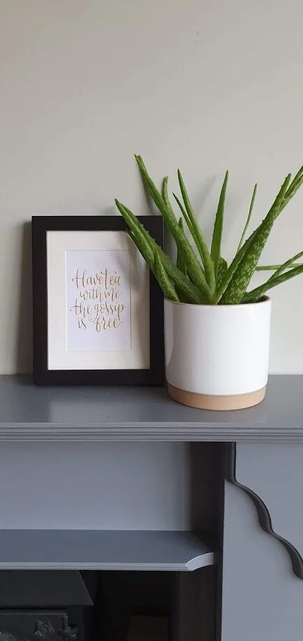 Aloe vera plant in a white pot next to a framed print with the text "Have tea with me, the gossip is free" on a gray mantle.