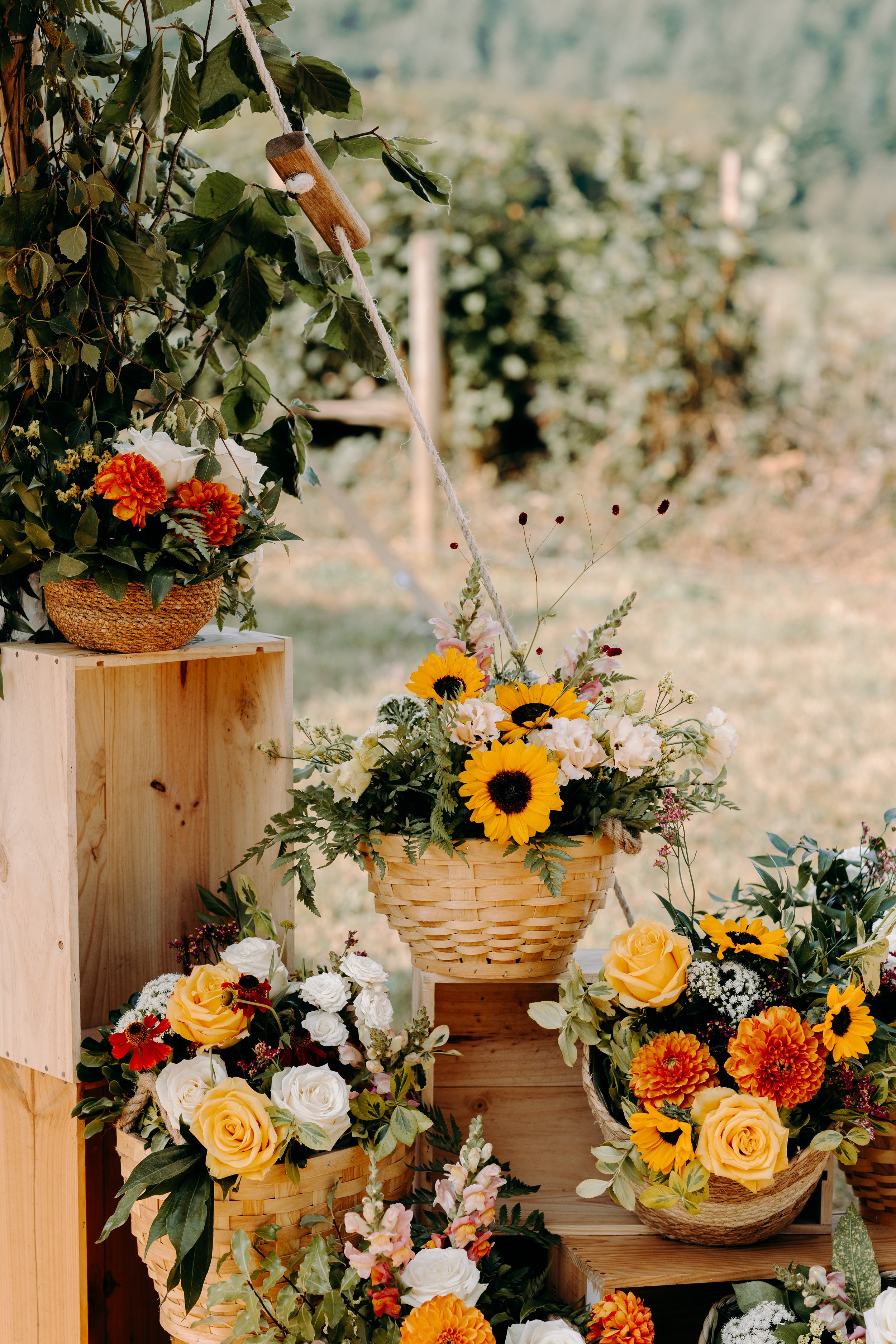 EKR Pictures - Beth & Ed-27.jpg