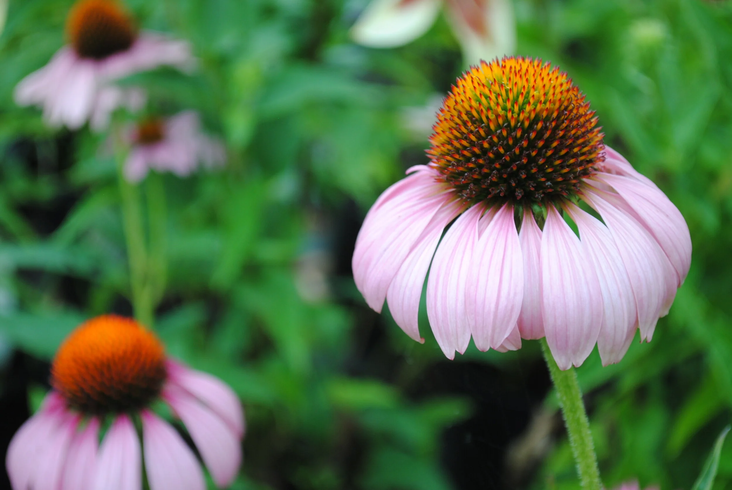 Contact Us — Schmidt Landscape Services Inc.