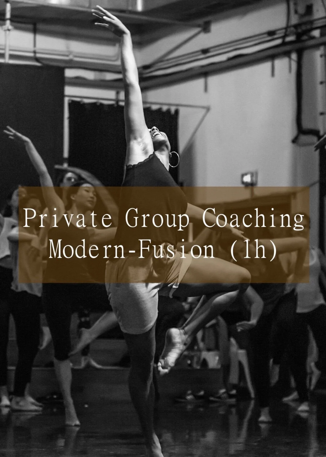 Private Group Coaching - Modern-Fusion (1h)
