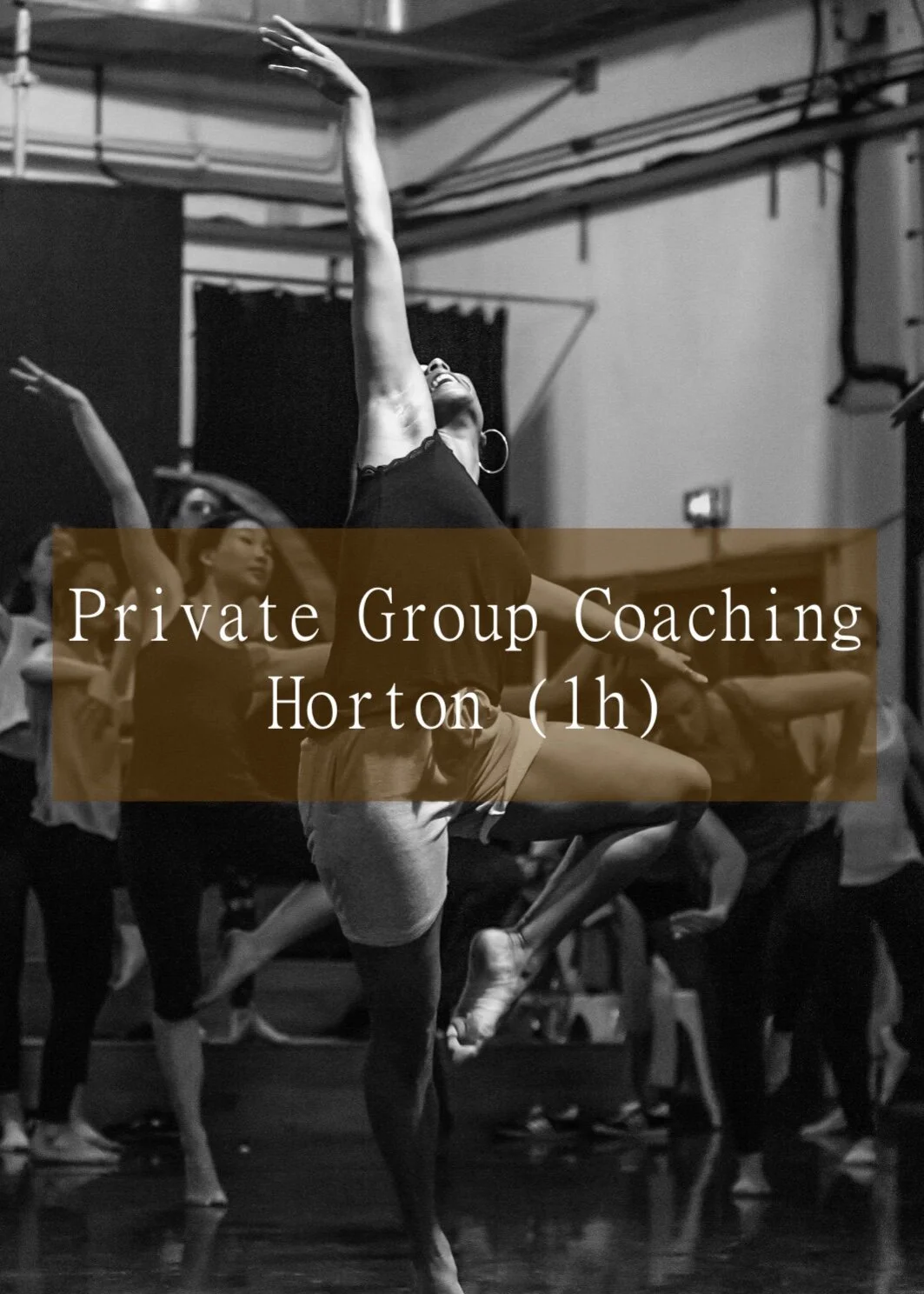 Private Group Coaching - Horton (1h)