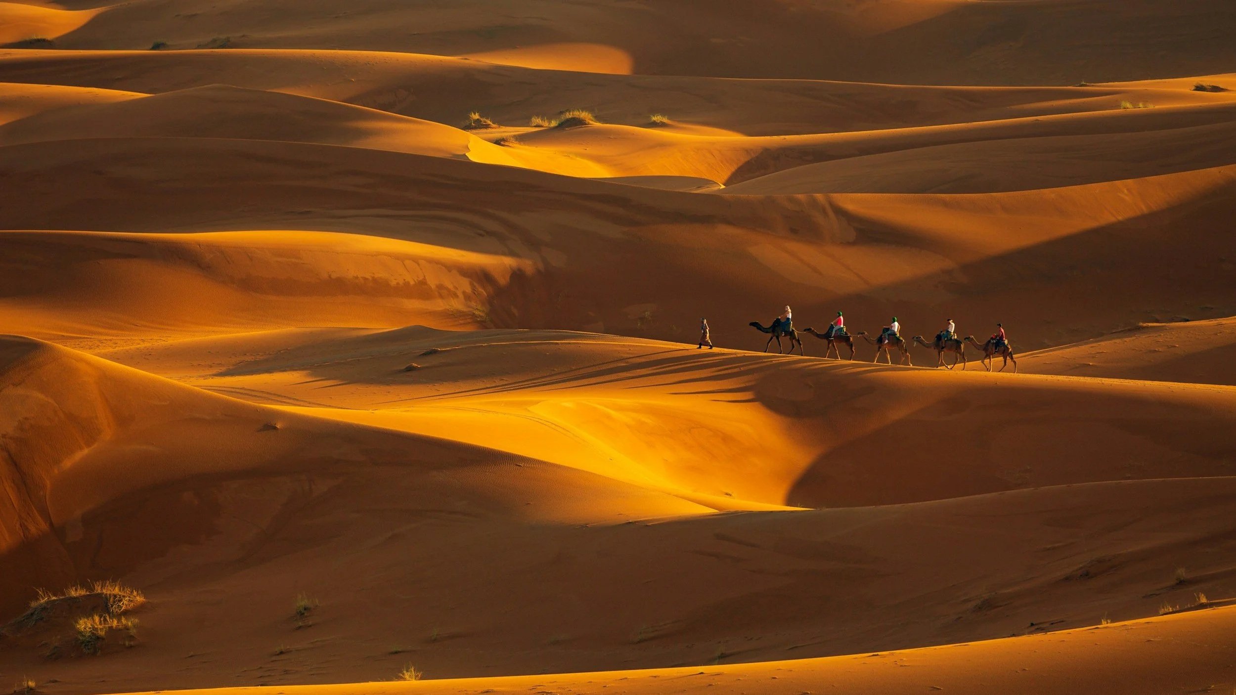 “Many Will Come from East and West”
