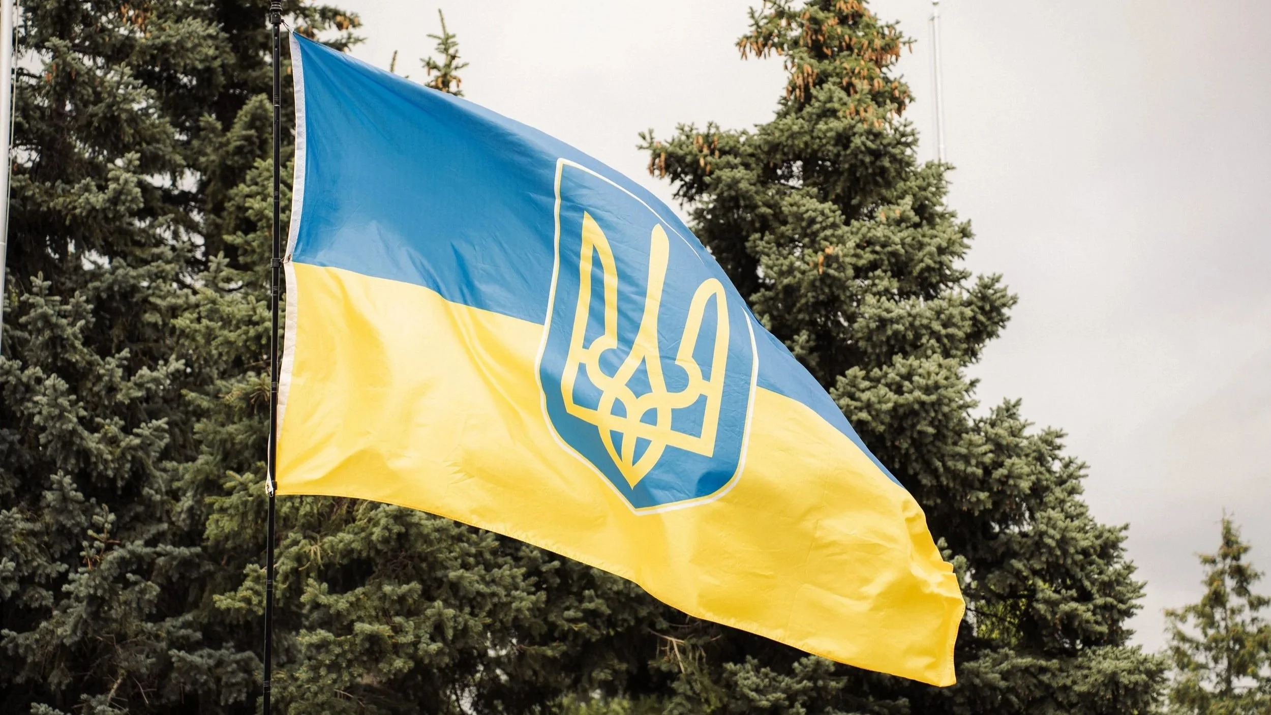 All Together We Celebrate 35 Years of Ukrainian Independence