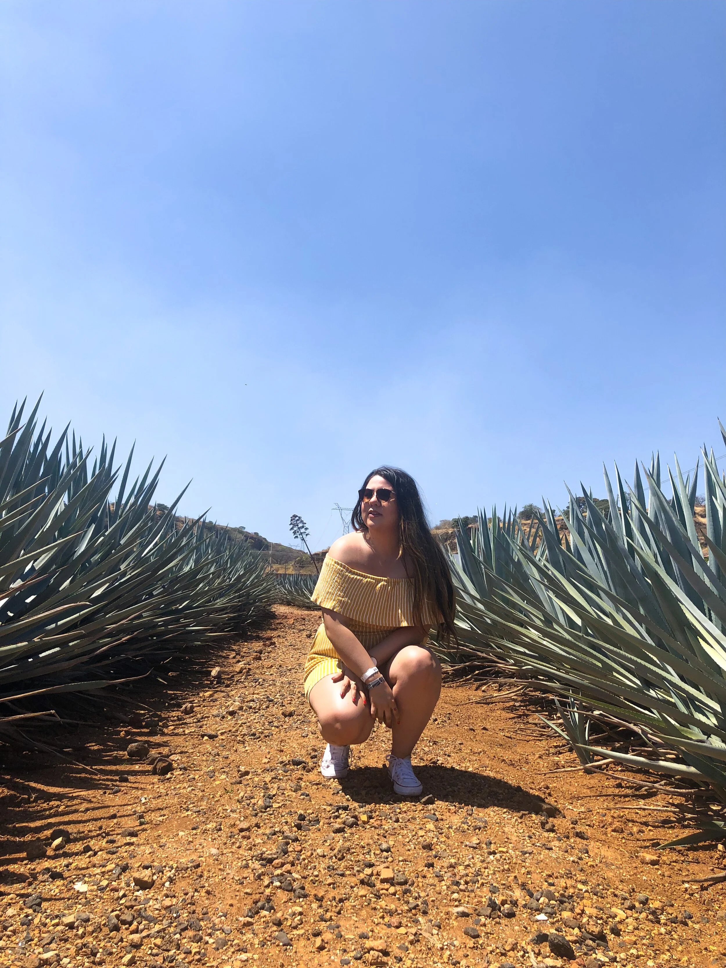 4 Things to do in Tequila Jalisco 