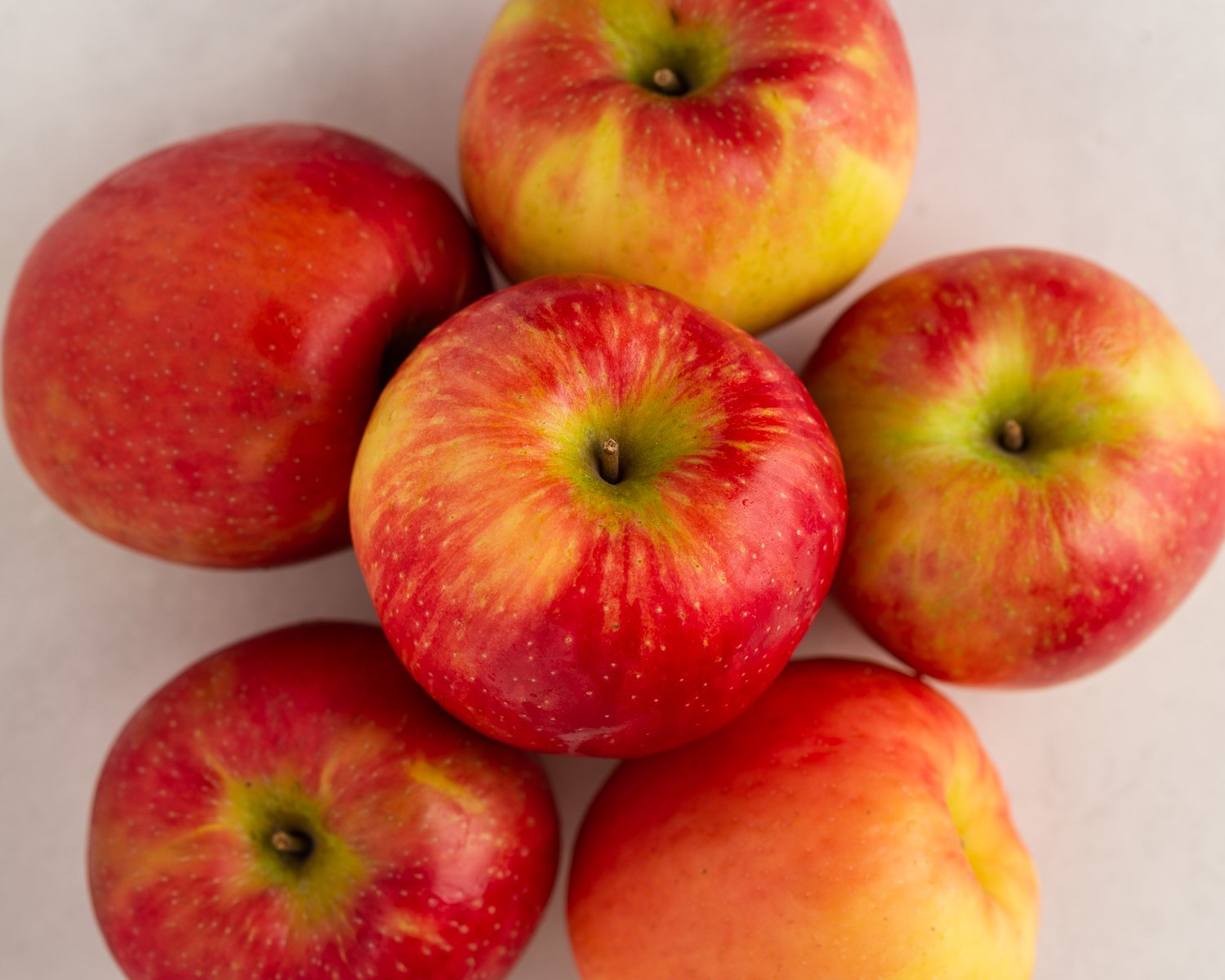 Mary's Ultimate Apple Guide: Picking, Storing, and Best Apples for Baking —  Mary DiSomma