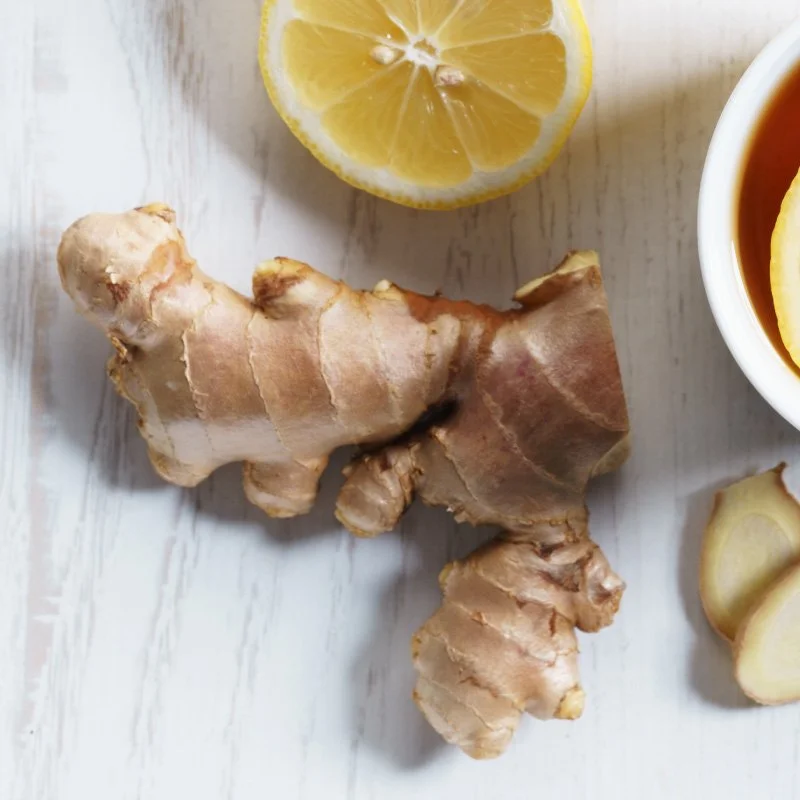 What is Ginger The Wonder Spice of the World — Mary DiSomma