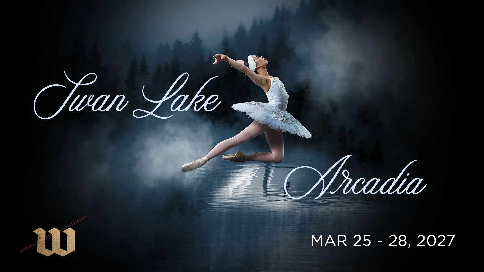 m_ballet_web_sliders_5_swanlake.jpg