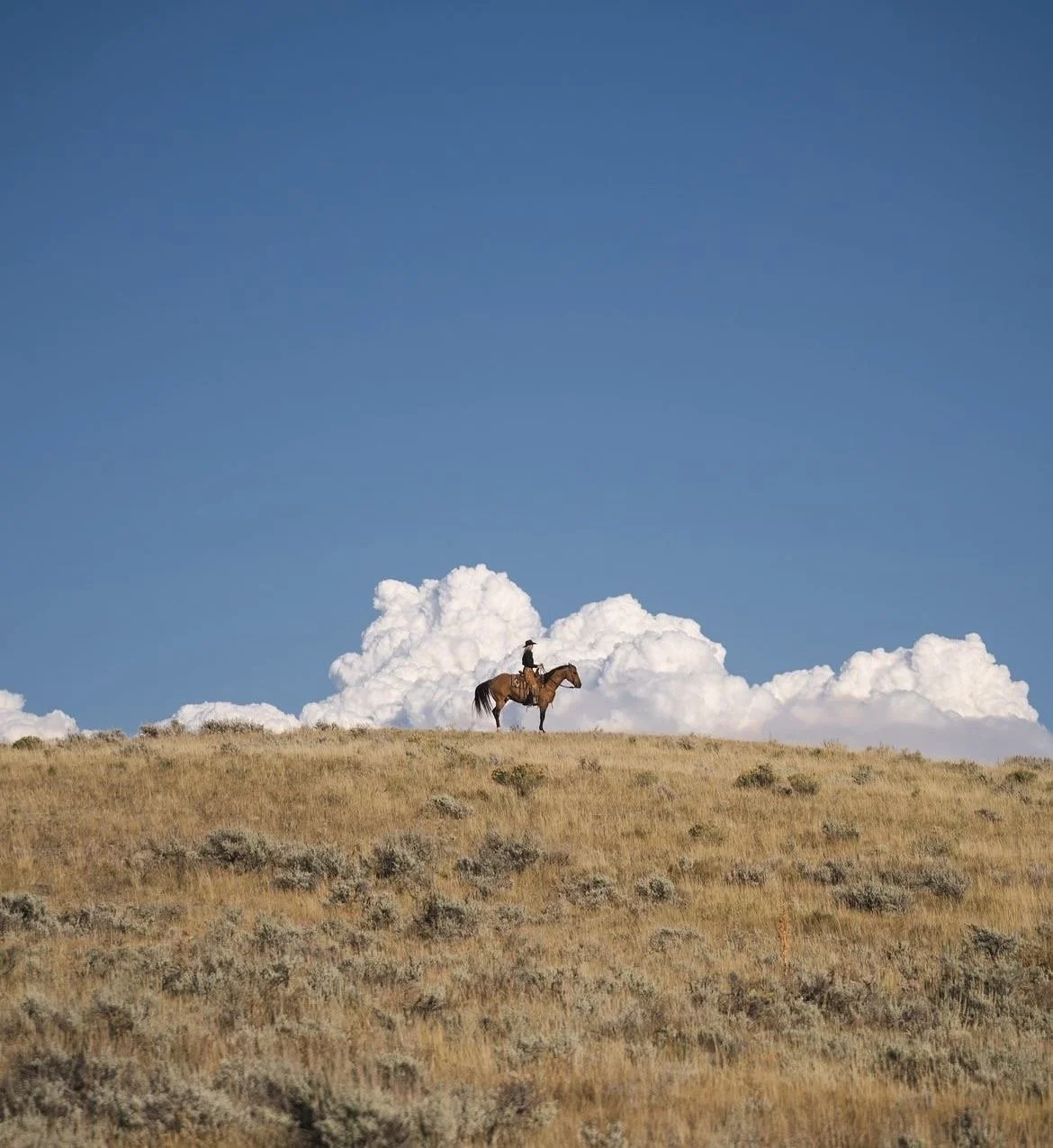 Land, Legacy, and the Sound of American Identity The Conservateur