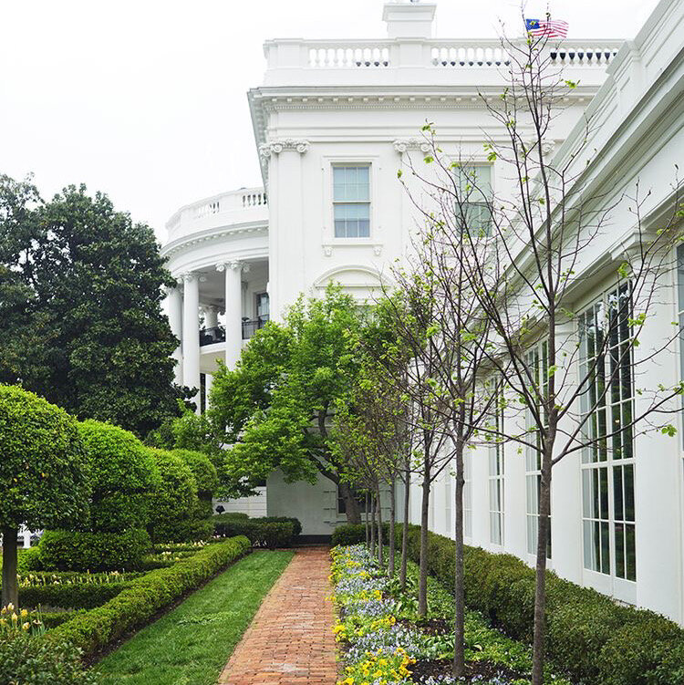 Interning at the White House