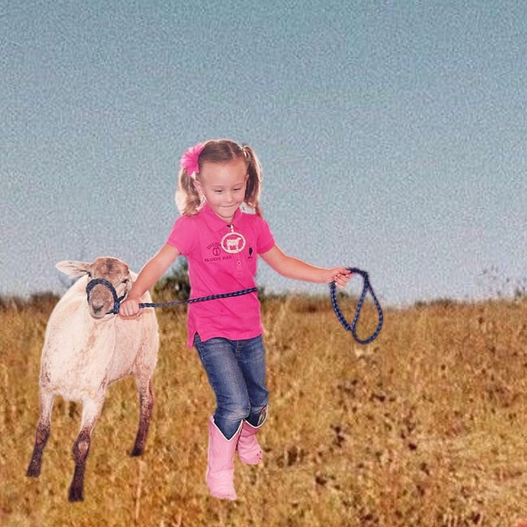Get Your Kids Involved in the Local Fair