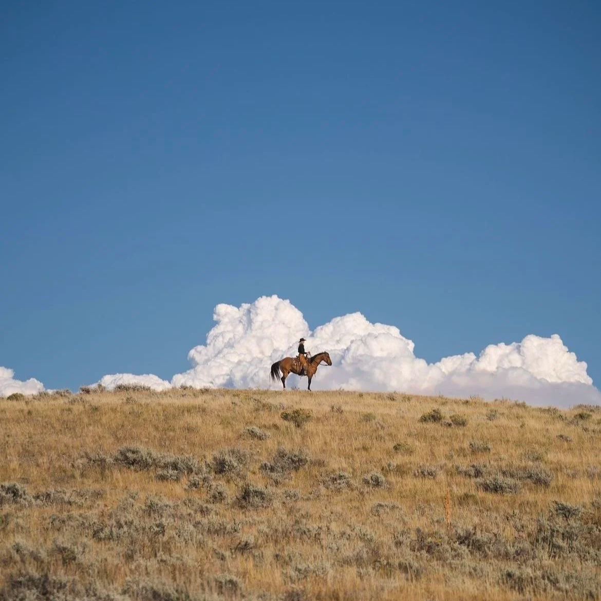 Land, Legacy, and the Sound of American Identity