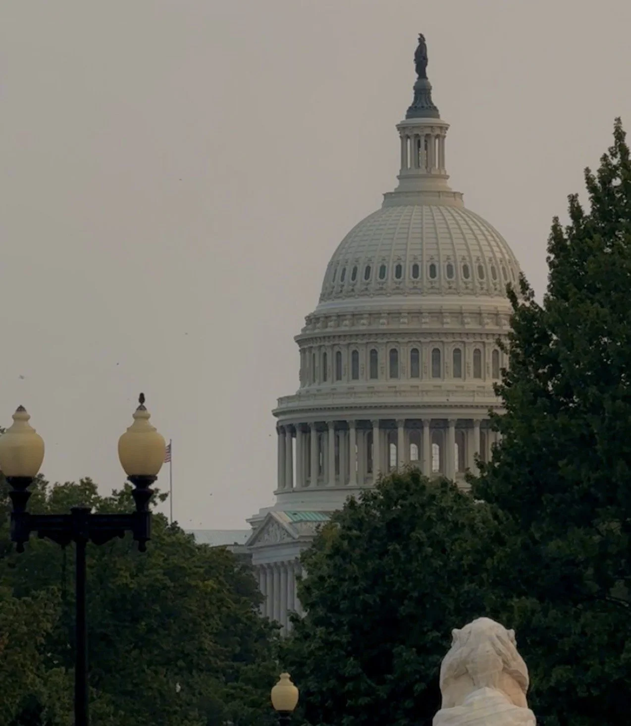 Restore Accountability, Combat Fraud, Protect Our Safety Net