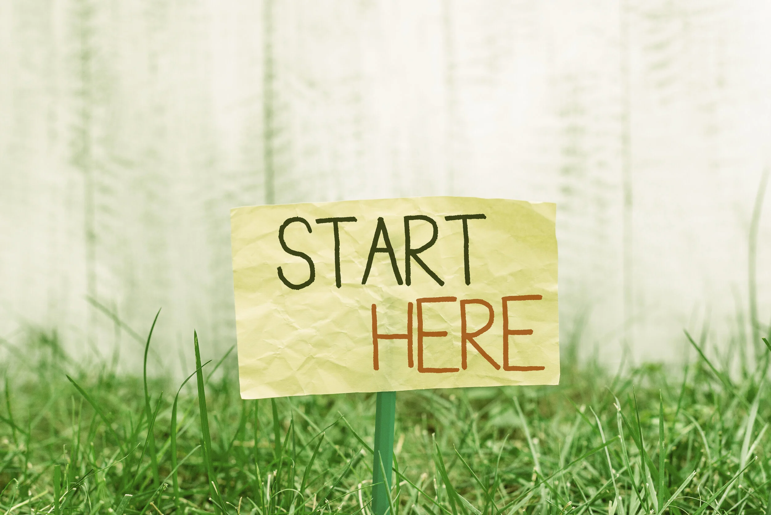 Photo by Artur / Adobe Stock