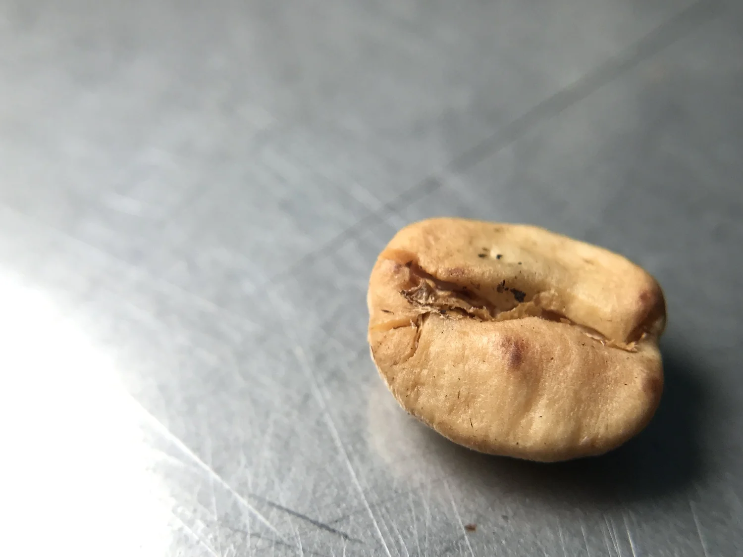 Roasting Defects — Hoos Coffee Consulting