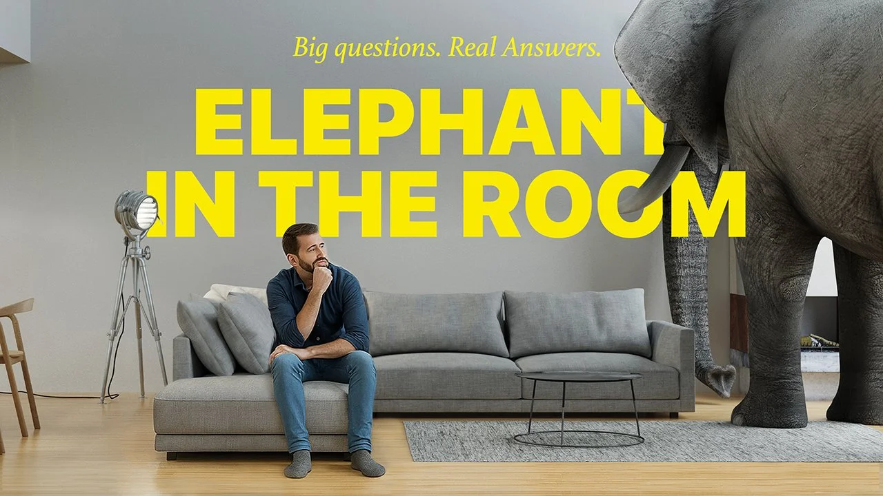 New Series: “Elephant in the Room”