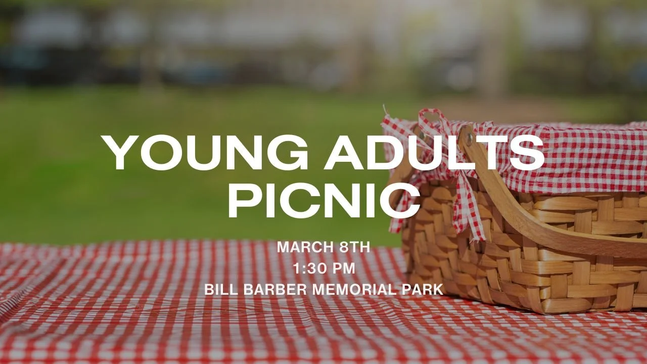 Young Adults Picnic