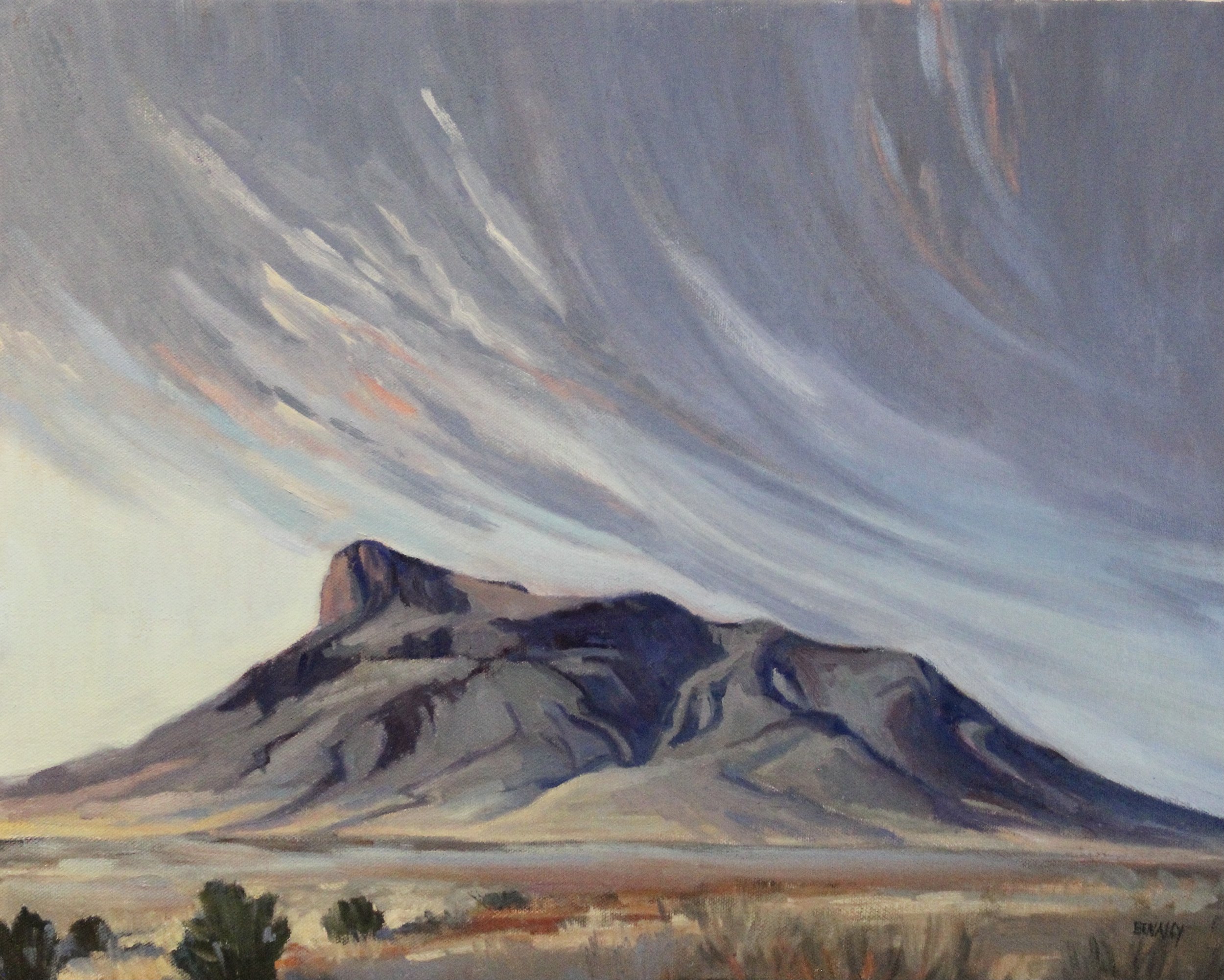 Details about   PEACEFUL MOUNTAIN VALLEY Original Oil Landscape Painting Artist 16x20 Canvas 