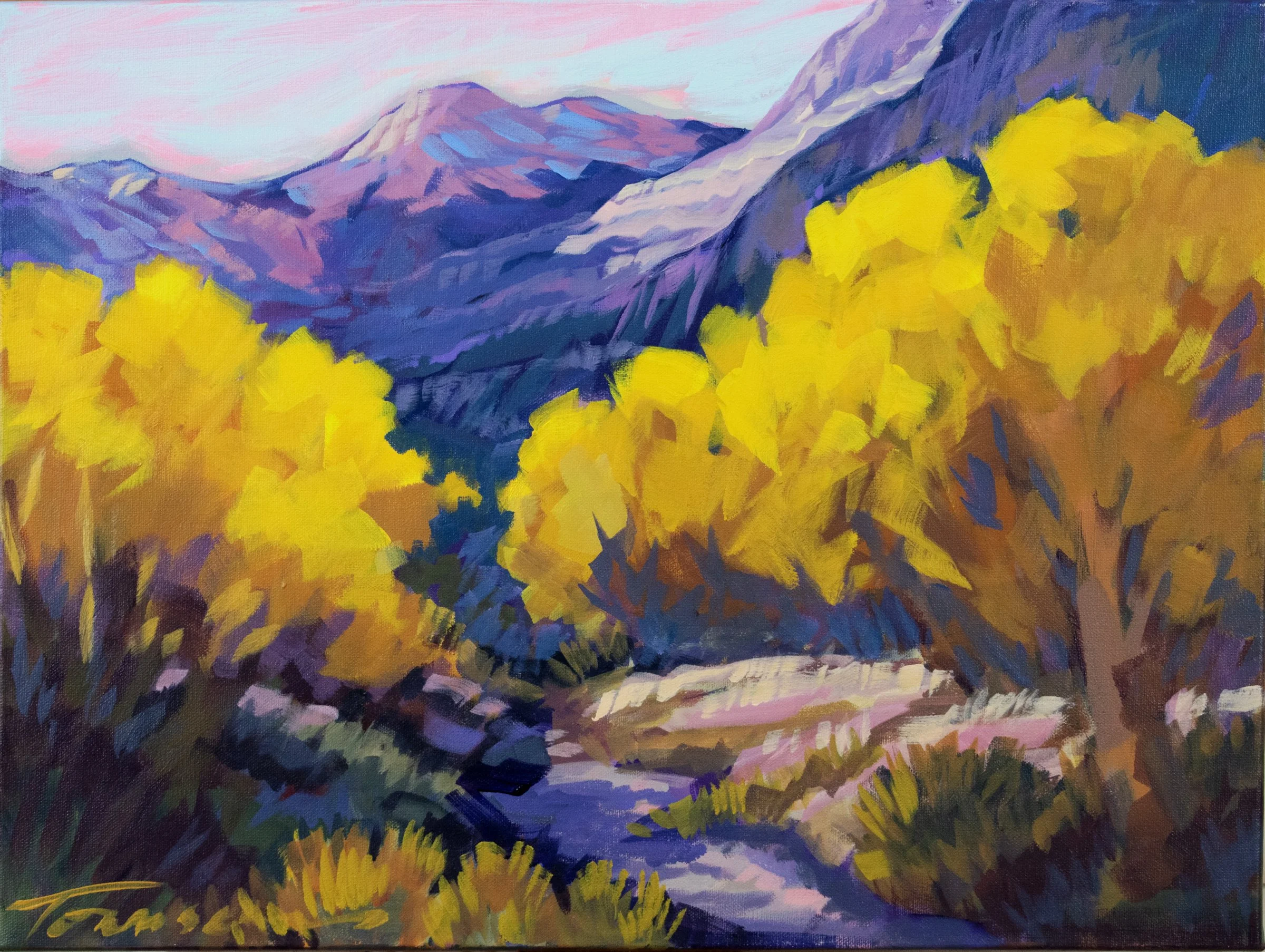 awashwithcottonwood.jpg