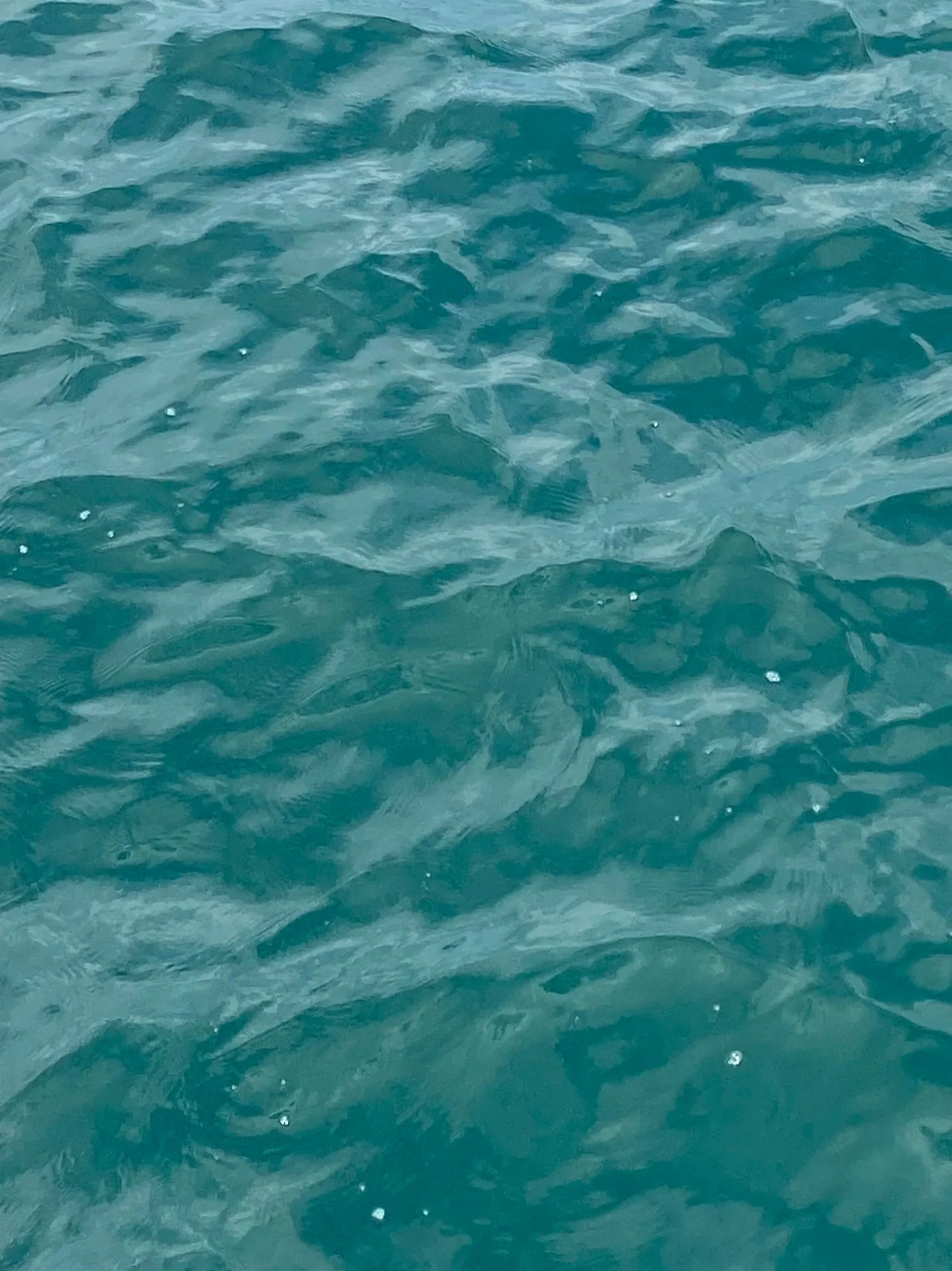 Deep Sea Salute: “A Diver's Tribute to Our Veterans”