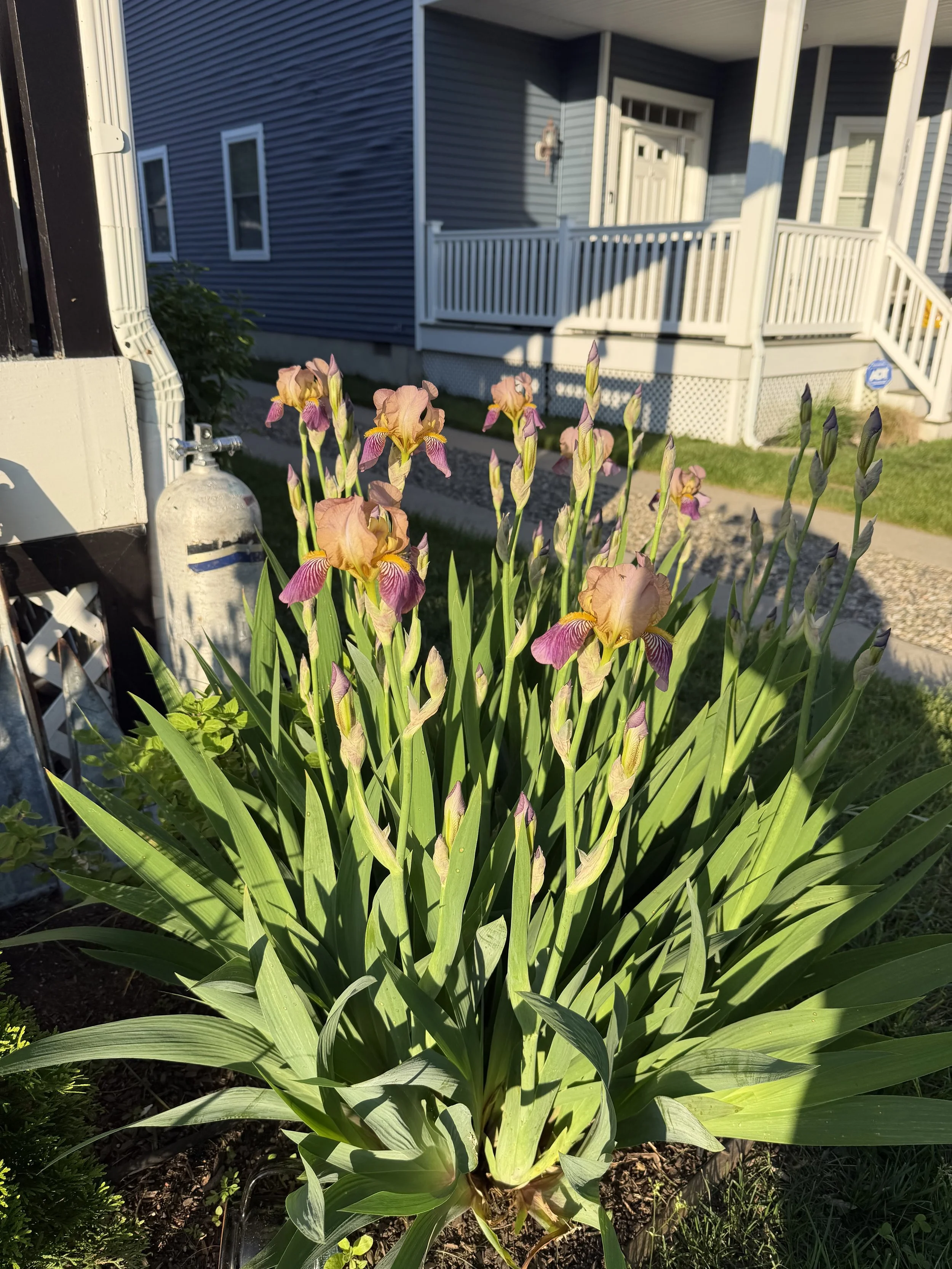 IMG_0837.jpeg