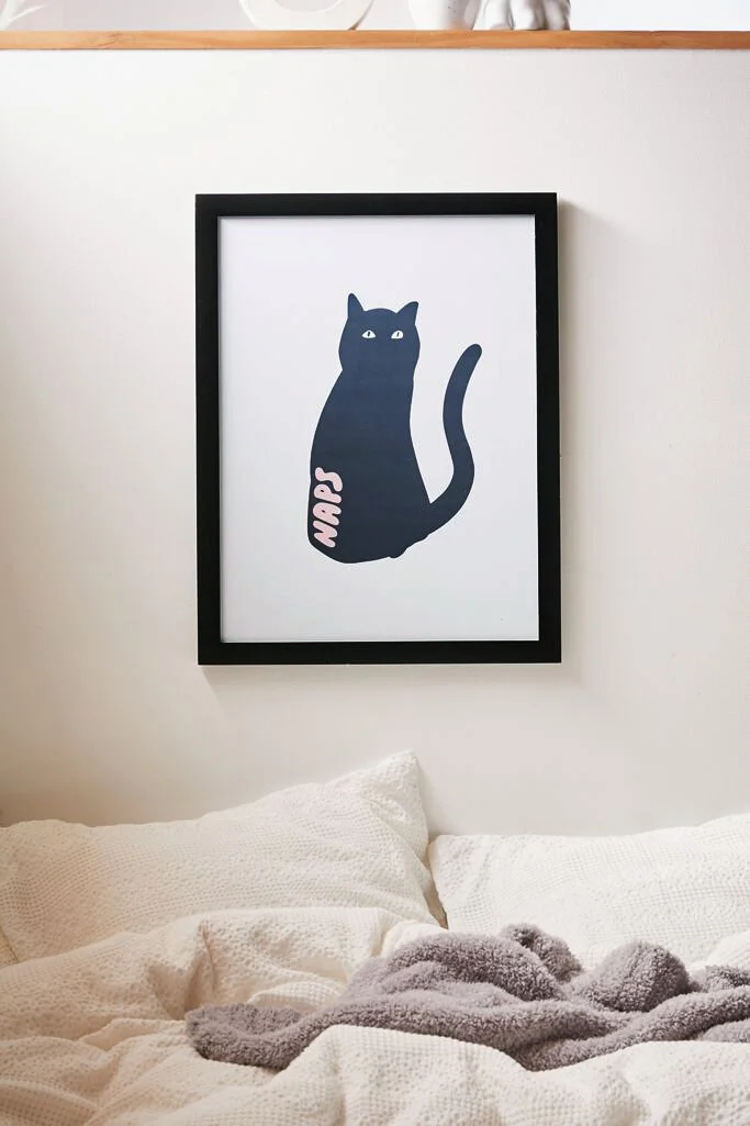 cat naps OU photo.jpg