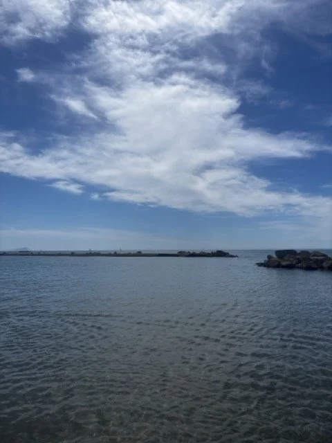 IMG_1814 Medium.jpeg