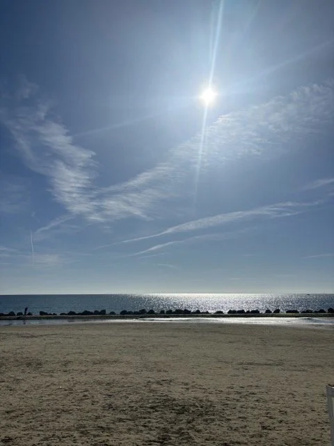 IMG_1523 Medium.jpeg
