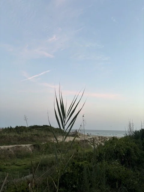 IMG_0223 Medium.jpeg