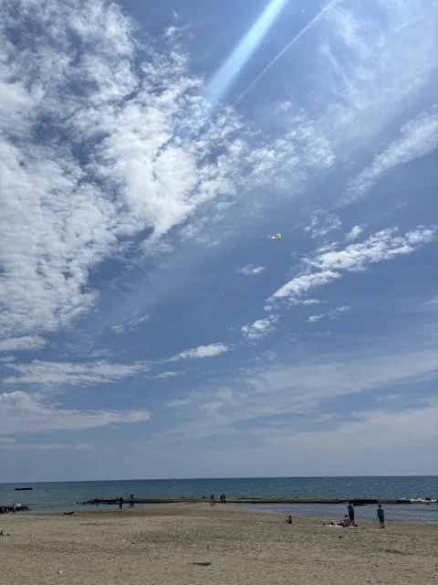 IMG_4977 Medium.jpeg