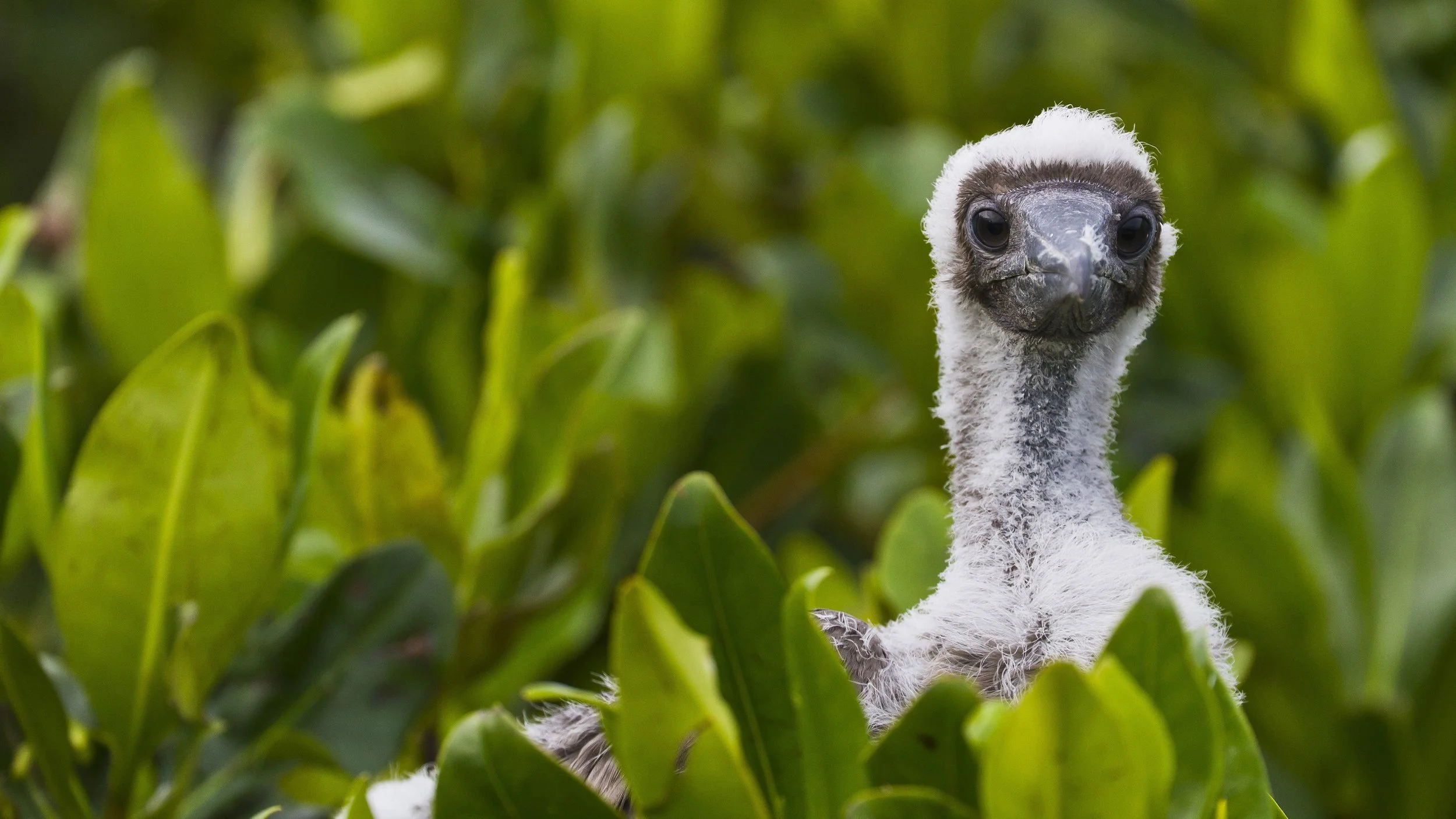 So…..You want to get active, BUT….