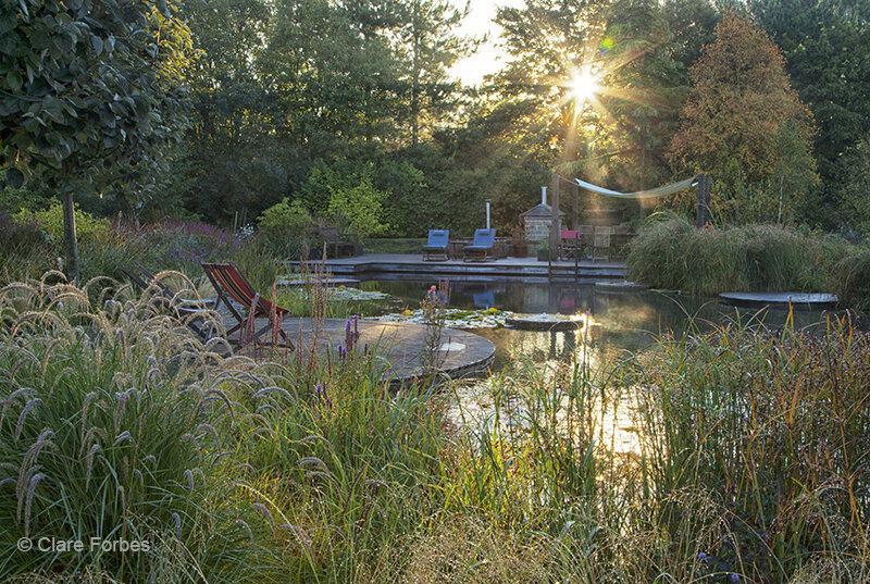 Ellicar garden Pool.jpg
