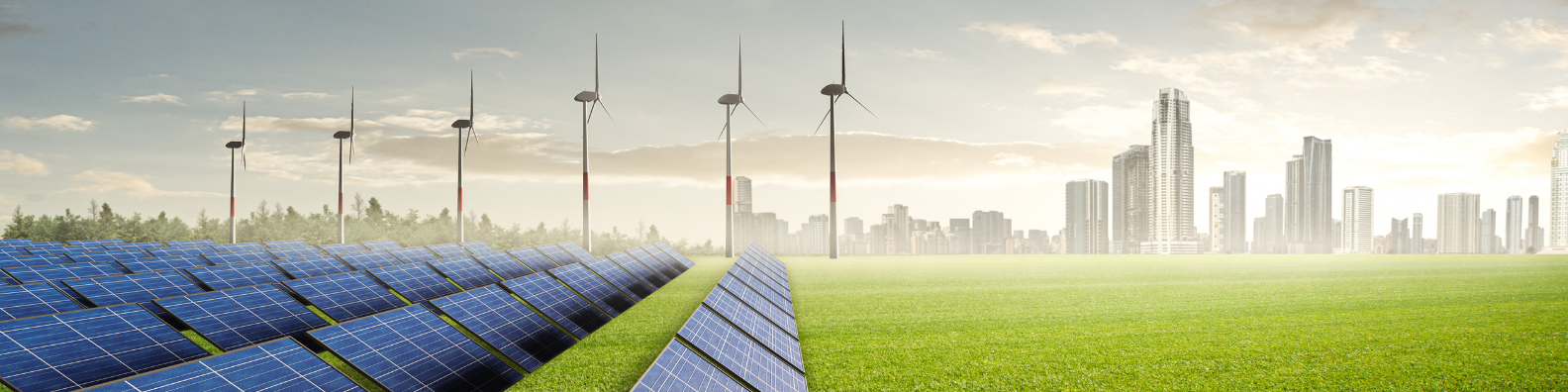 Cleantech Adoption advocates for clean energy technologies, including solar, wind, batteries, and electric vehicles.