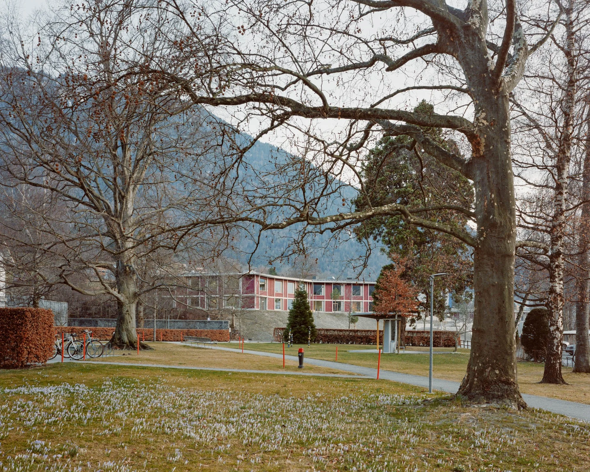 260209_knorrpürckhauer_kjp_federicofarinatti_52.jpg
