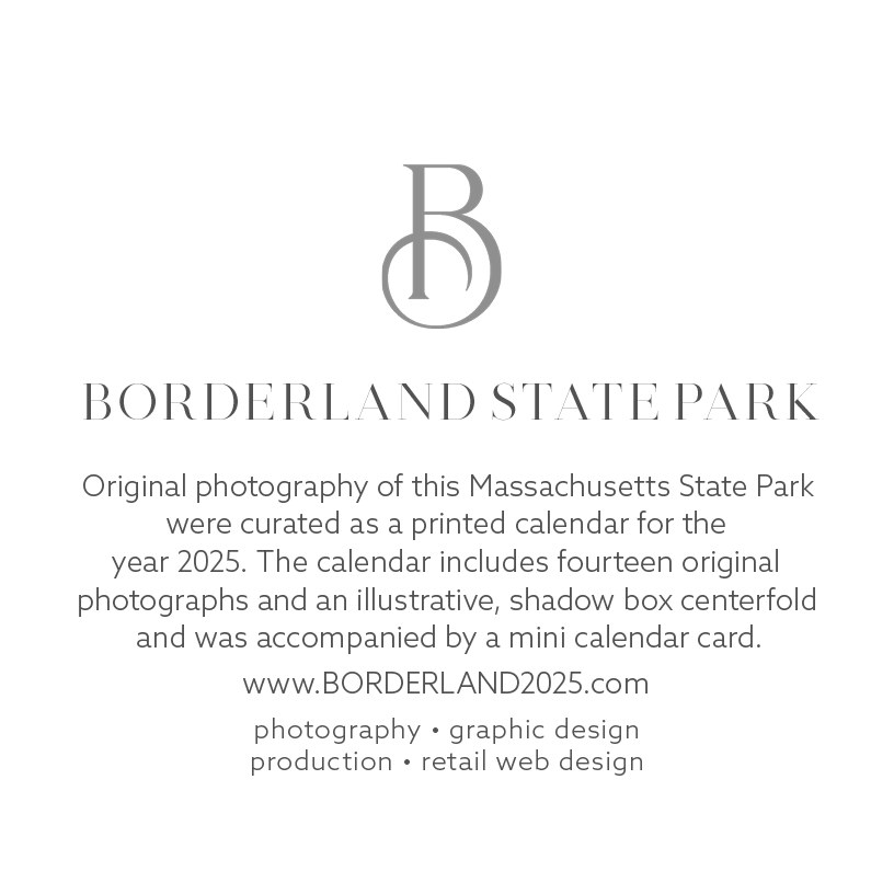 DSC webcopy blocks sans fonts v3_borderland.png