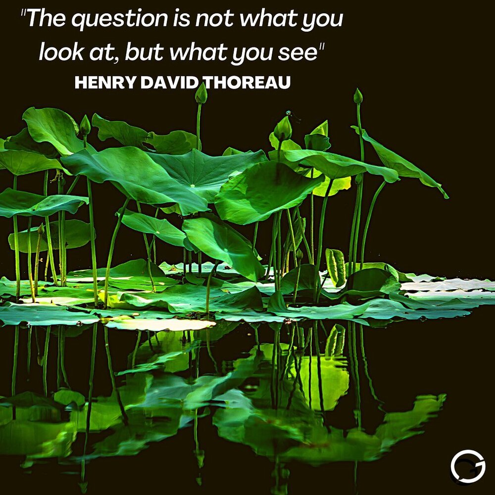 &ldquo;The question is not what you look at, but what you see.&rdquo; -Henry David Thoreau