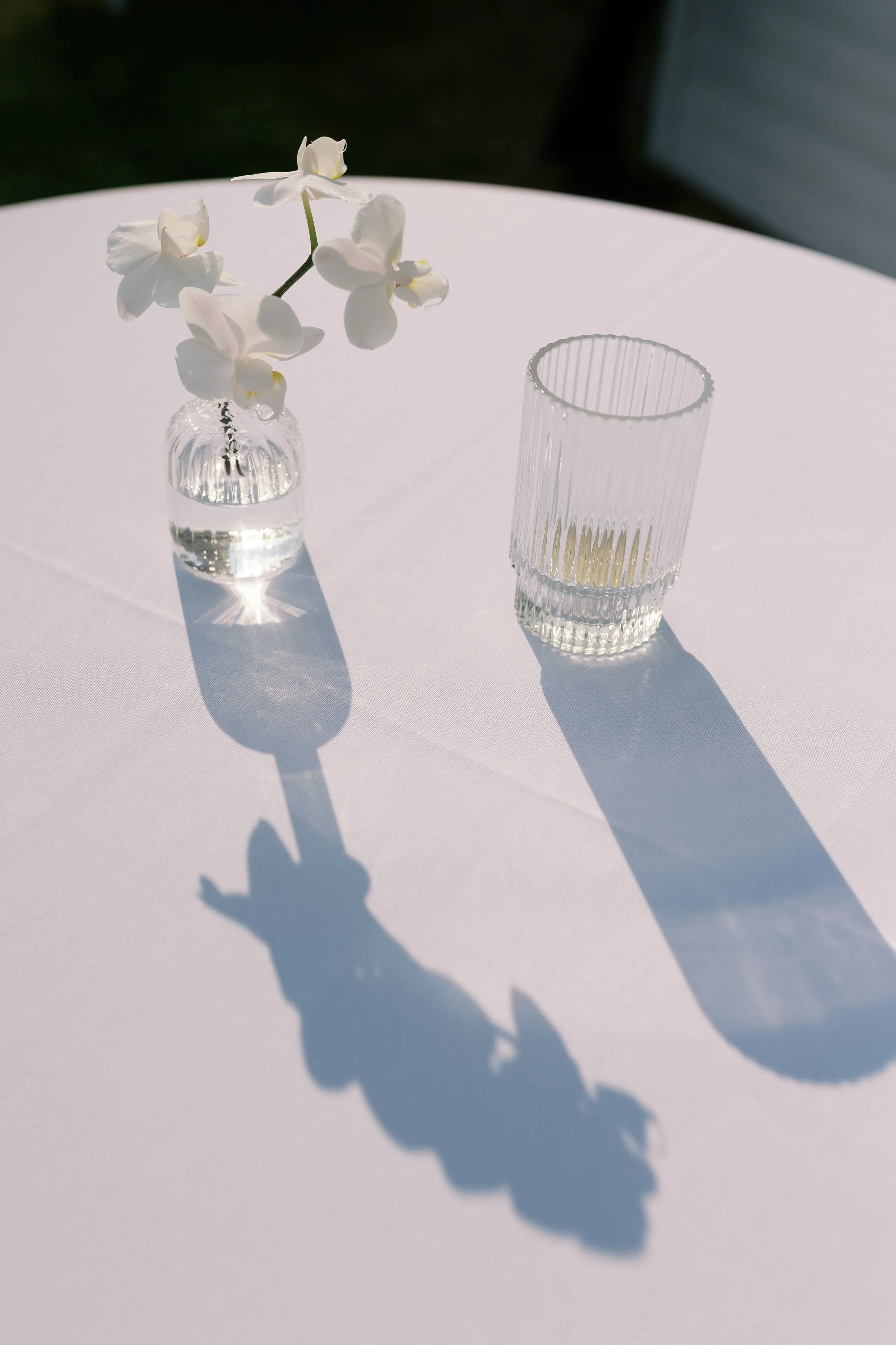 A white table with a small glass vase of white orchids and a tall empty glass, casting shadows on the table.
