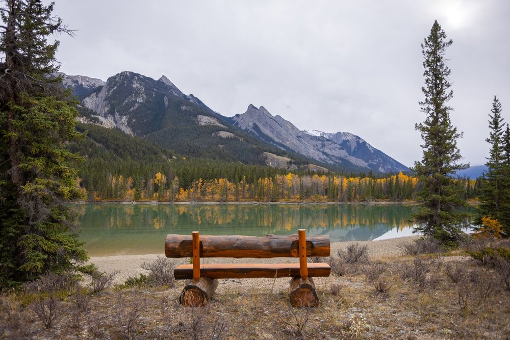 A bench at the Athabasca Day Use Site, overlooking the river.