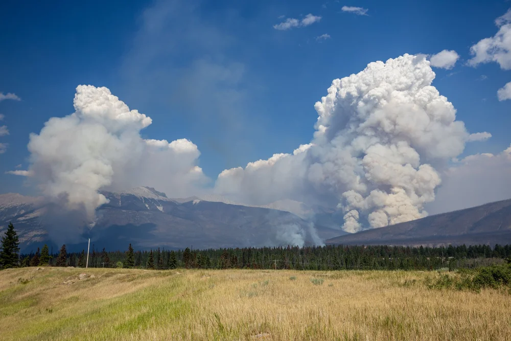 Jasper fire.jpg