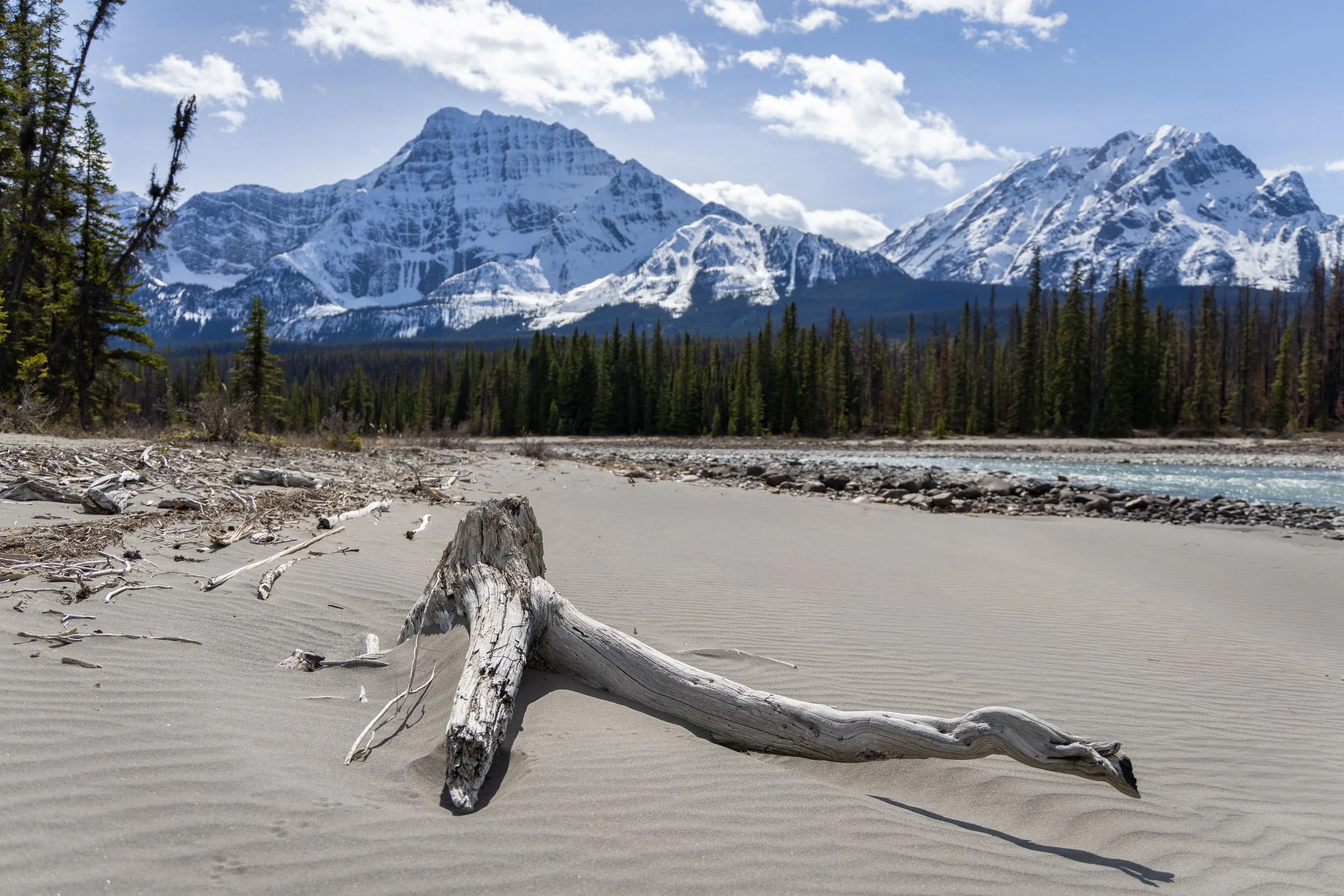_Athabasca River Beach.jpg