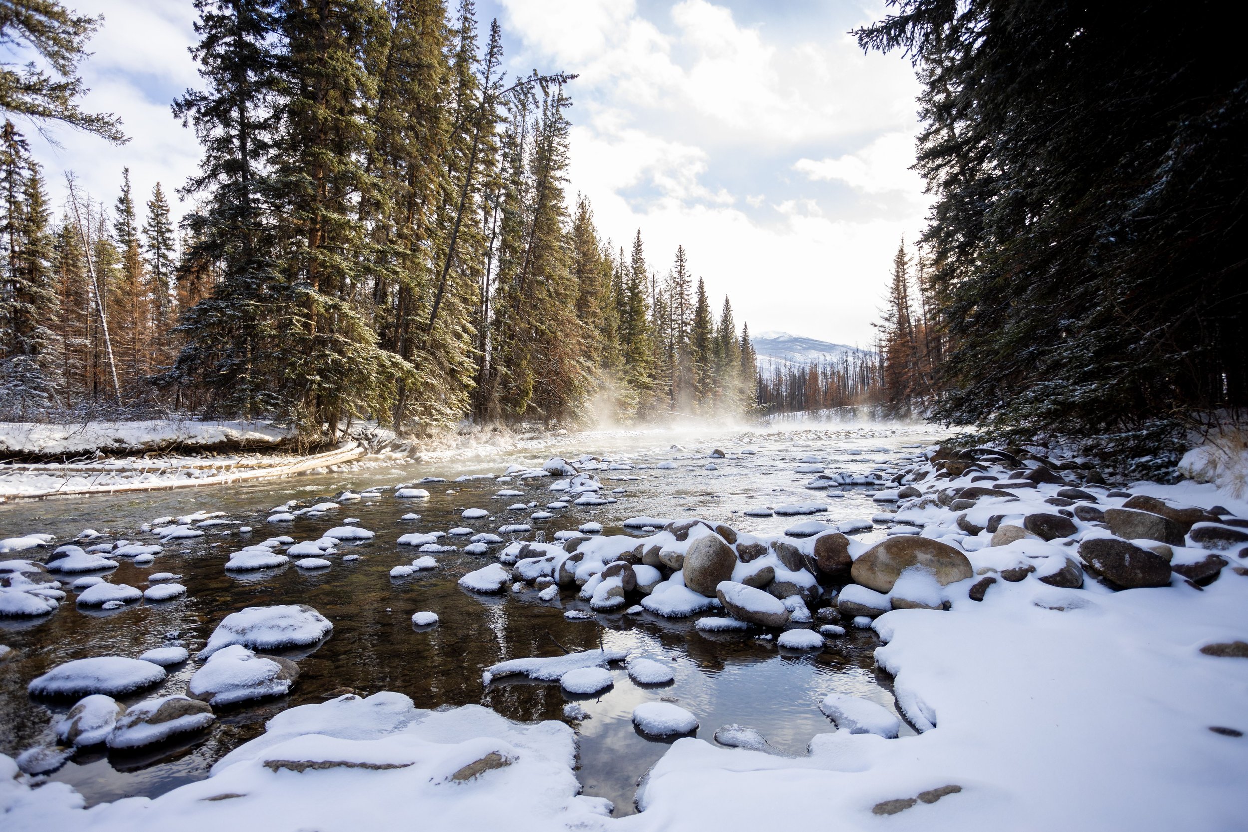 Winter in Jasper.jpg