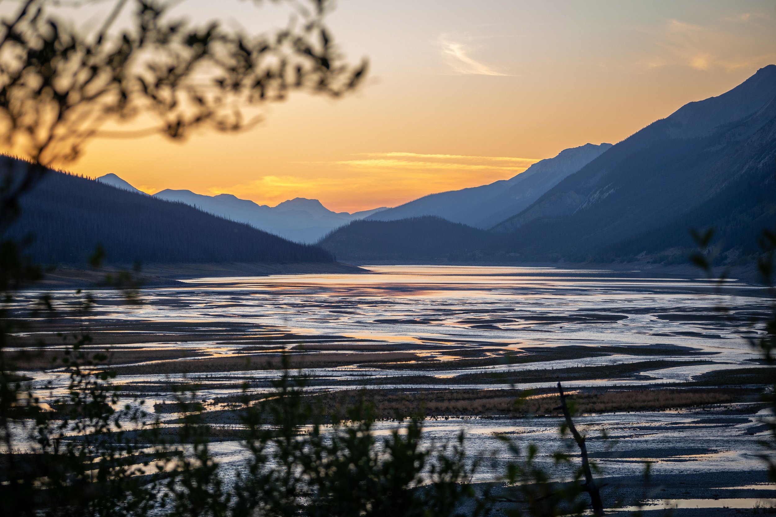 Medicine Lake Jasper.jpg