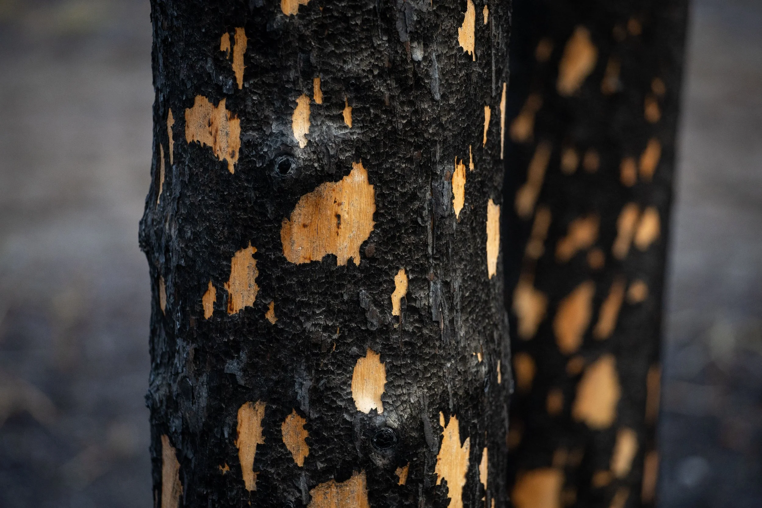 4R5A9064 Megan Posein.jpg