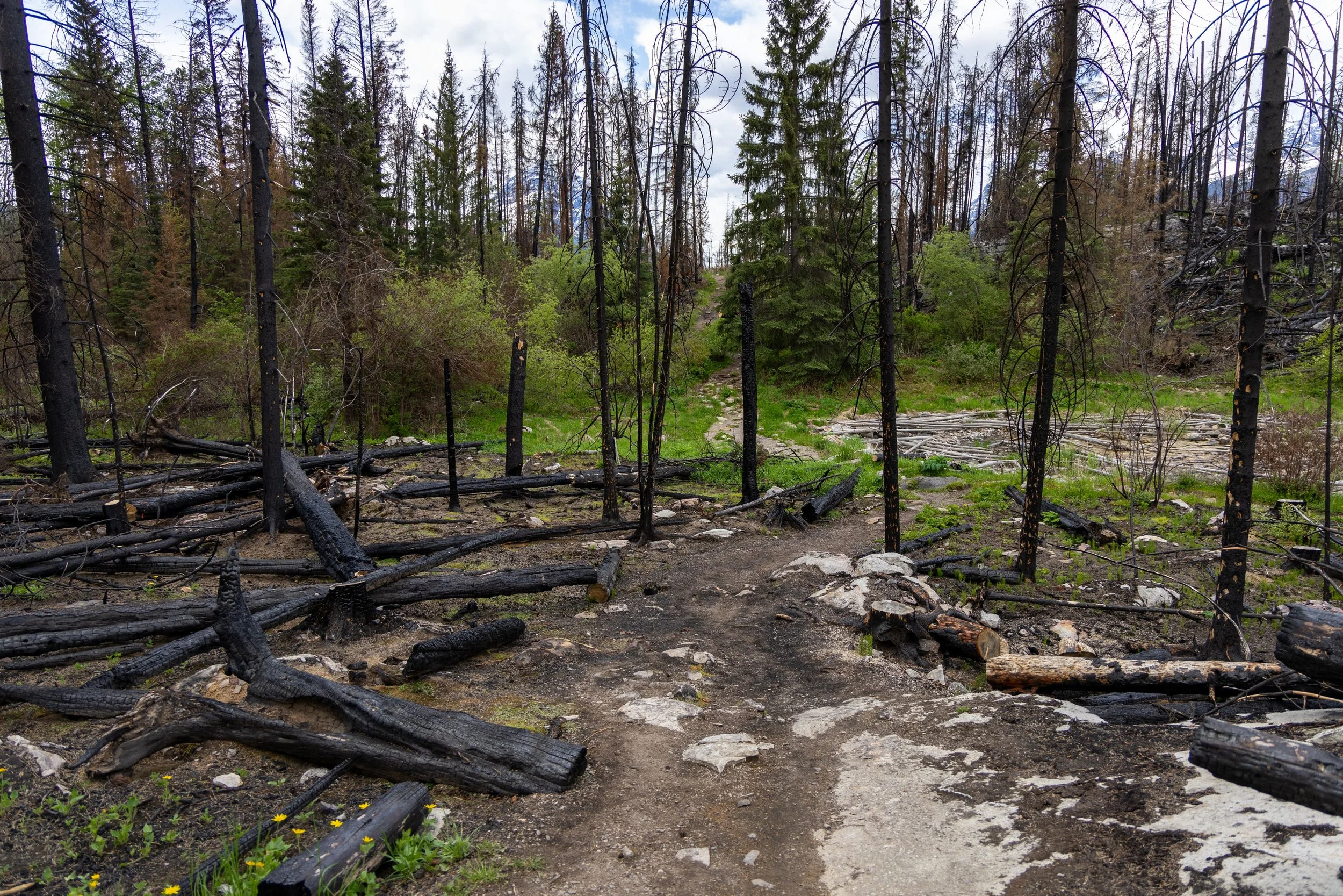 4R5A9373 Megan Posein.jpg