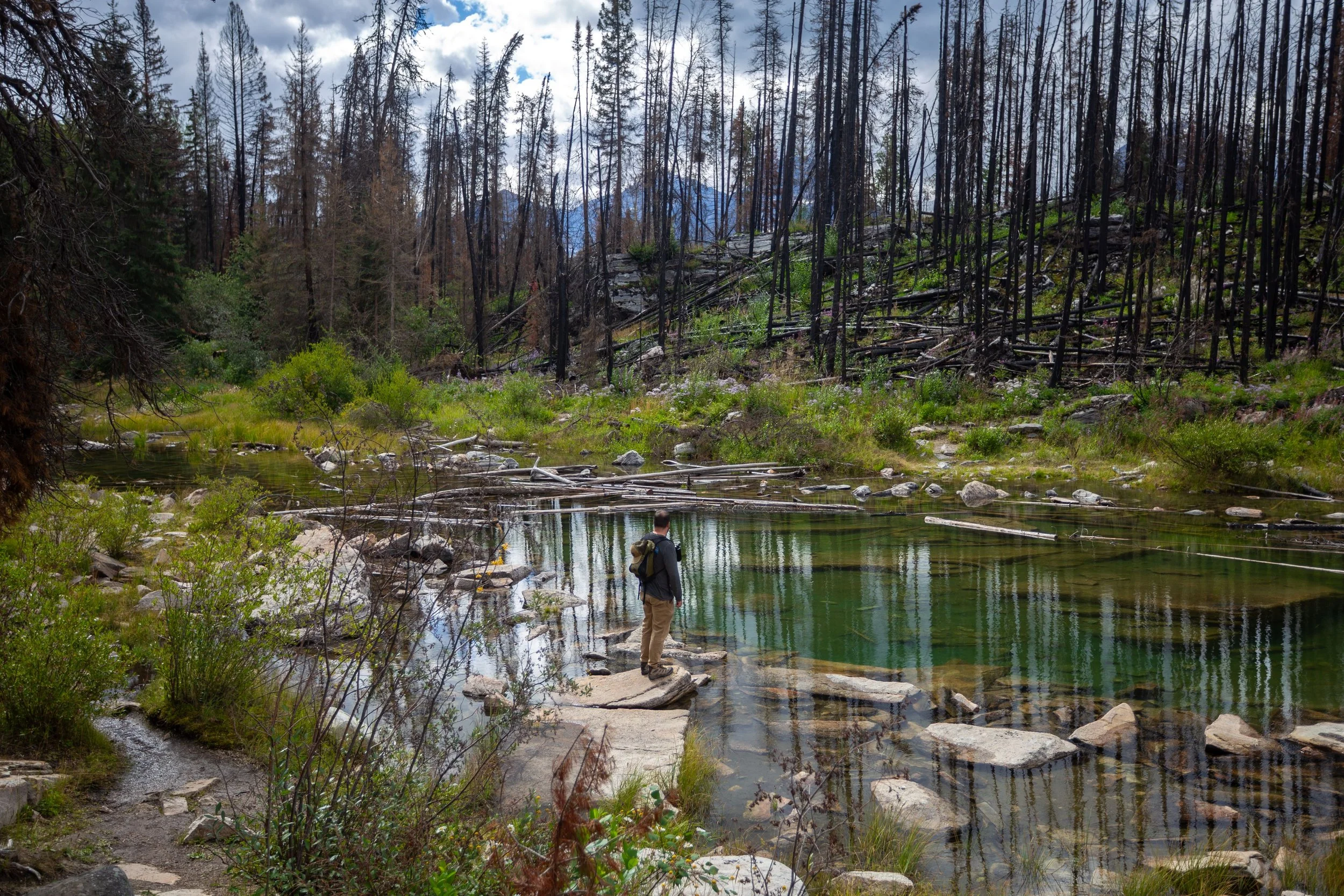 Jasper After the Fire: What Visitors Need to Know in 2026