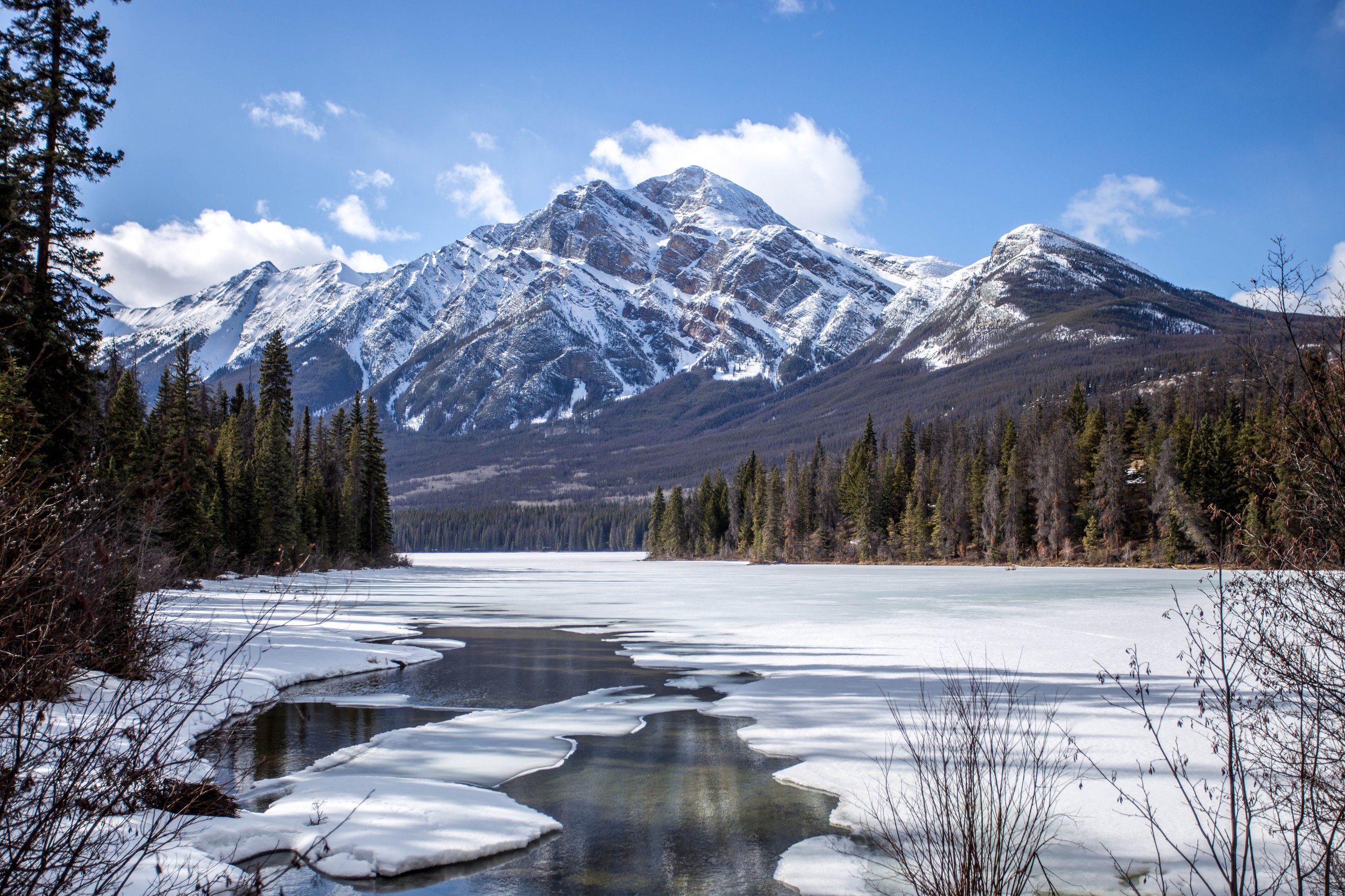 Spring in Jasper.jpg