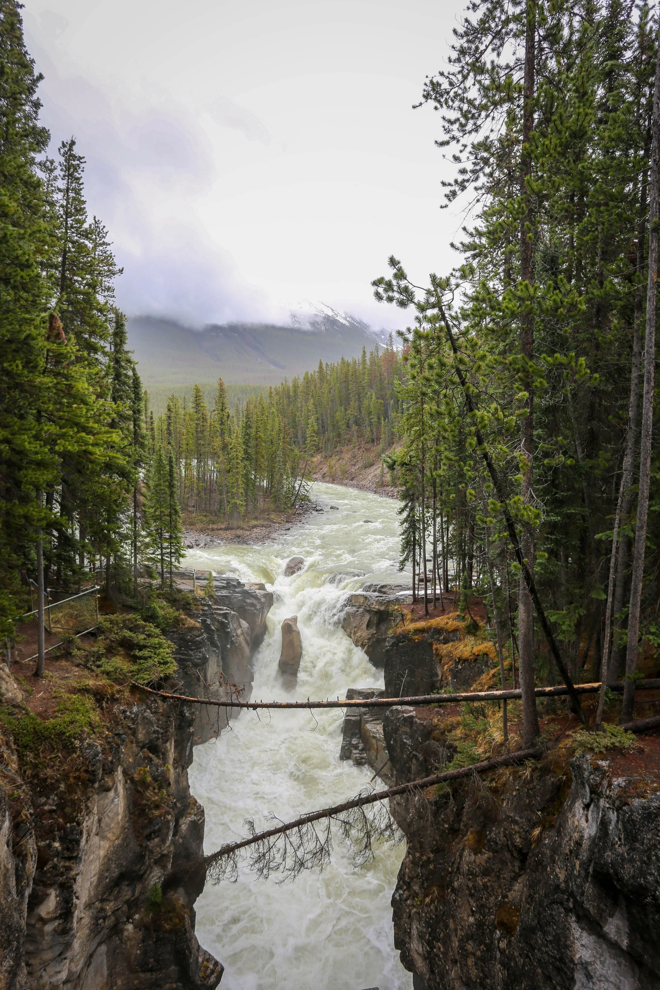 Sunwapta Falls Jasper.jpg