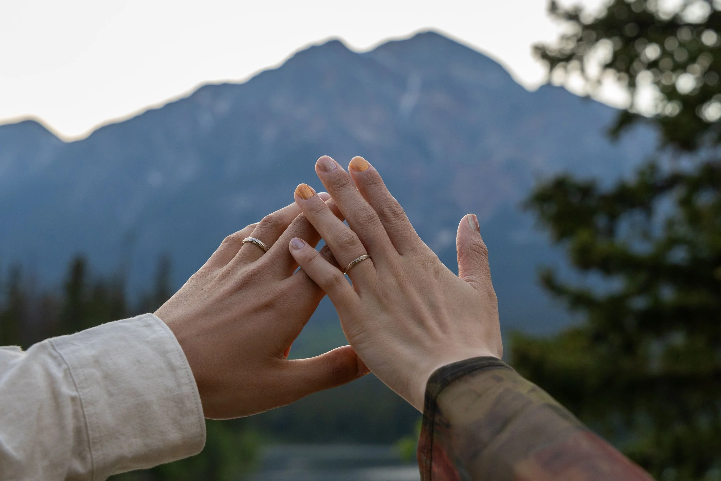Two hands, showing off their engagement rings, touching fingers against a mountain backdrop with trees. Photo by Megan Posein Photography