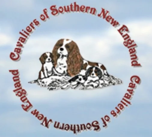 AKC Trial - Hosted by King Cavalier 